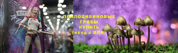 дживик Аркадак