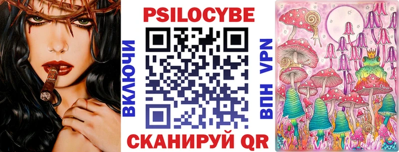 наркота  Пущино  Псилоцибиновые грибы Cubensis 